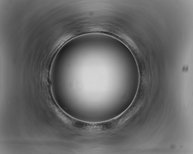 X0000097620793200802291324