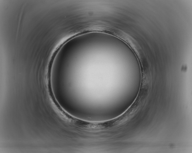 X0000097620795200802291324