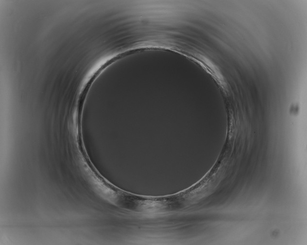 X0000097620796200802291324