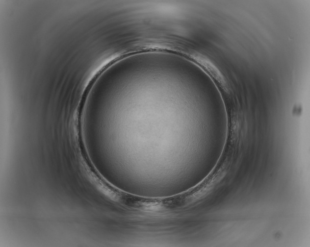 X0000097620798200802291324