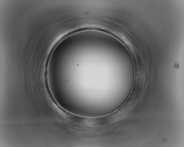 X0000097620799200802291324