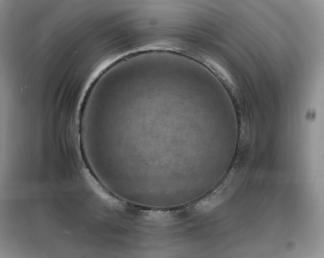 X0000097620800200802291324