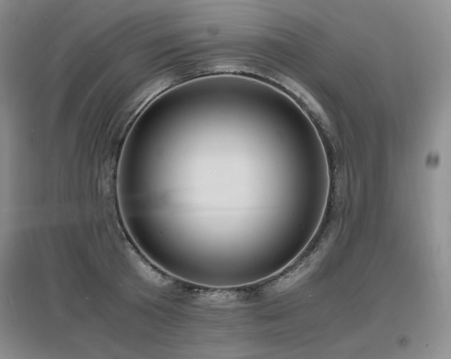X0000097620801200802291324