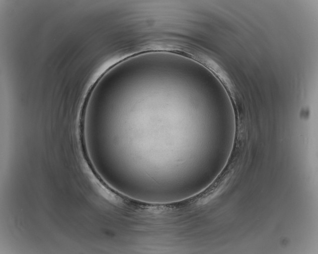 X0000097620803200802291324
