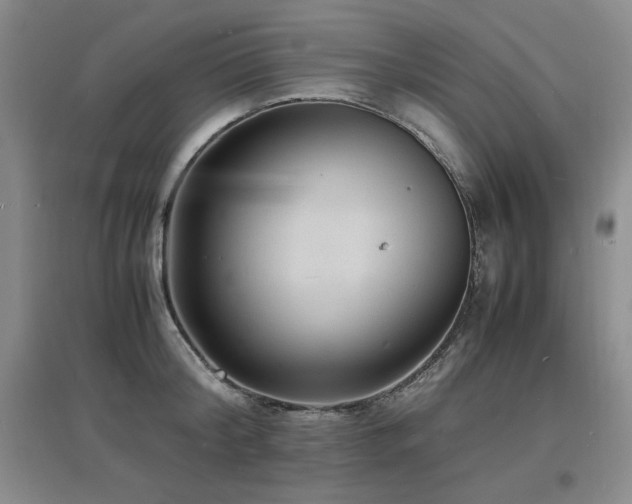 X0000097620804200802291324