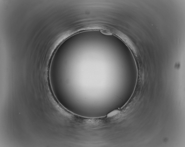 X0000097620805200802291324