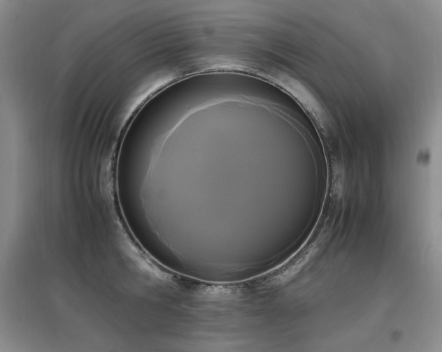 X0000097620806200802291324