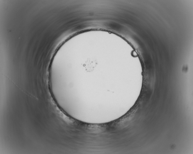 X0000097620807200802291324