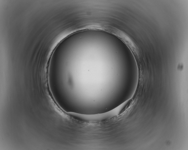 X0000097620808200802291324