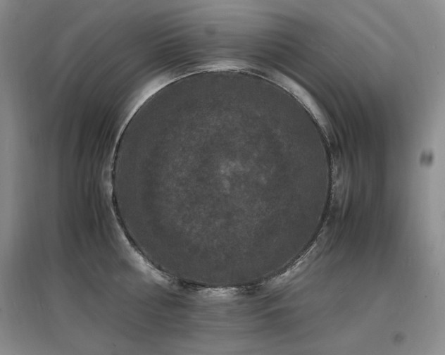 X0000097620810200802291324