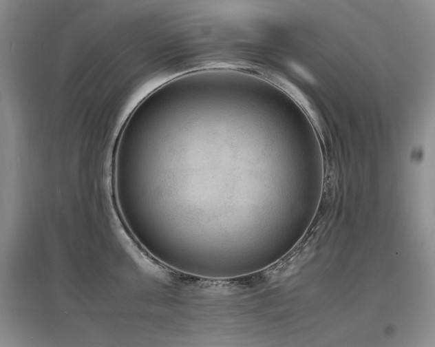 X0000097620811200802291324