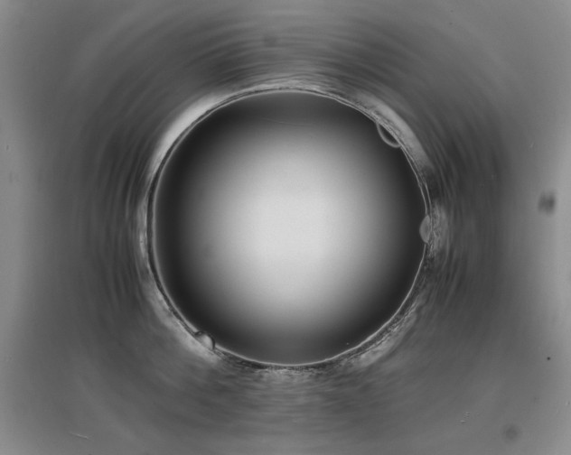 X0000097620812200802291324