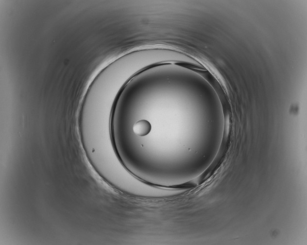 X0000097620813200802291324