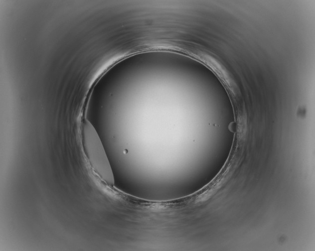 X0000097620814200802291324
