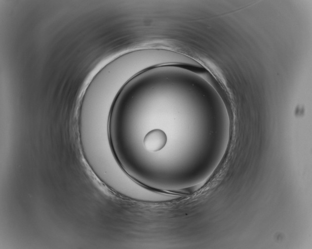 X0000097620816200802291324