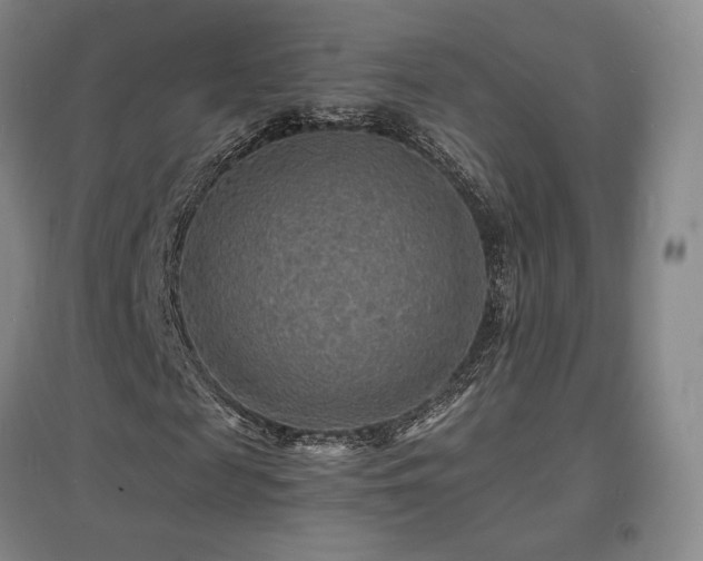X0000097620817200802291323