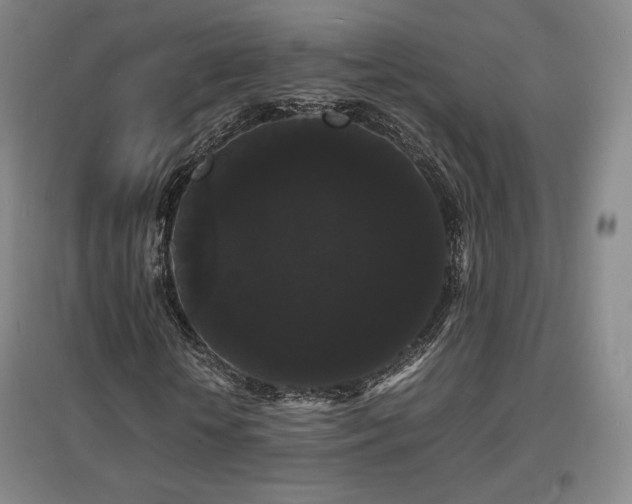 X0000097620818200802291323