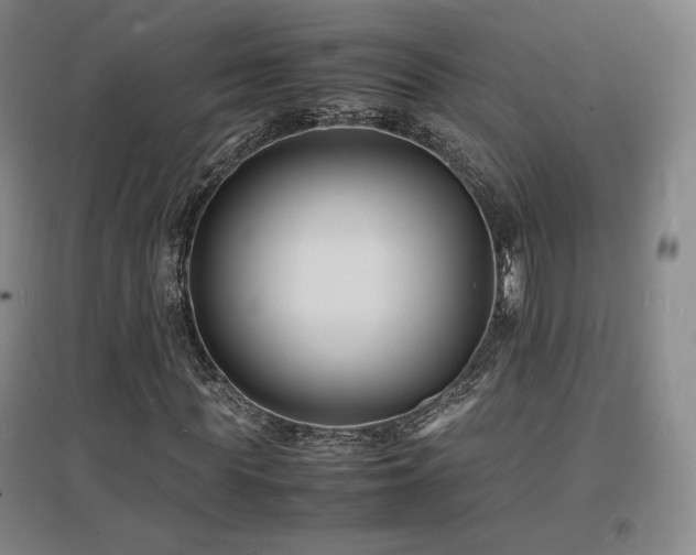 X0000097620819200802291323