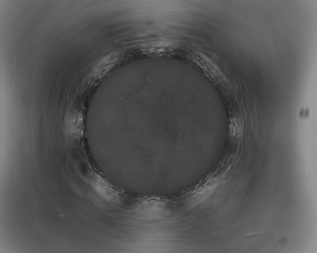 X0000097620820200802291323