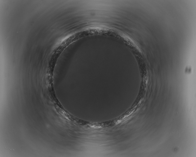 X0000097620822200802291323