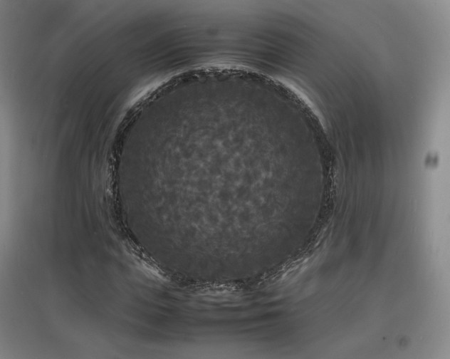 X0000097620823200802291323