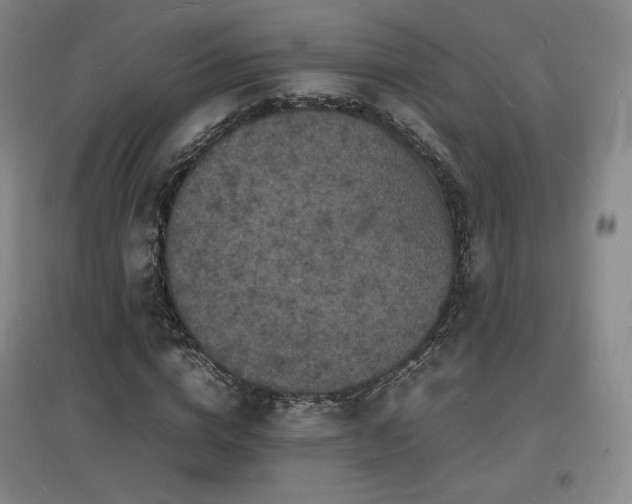 X0000097620824200802291323