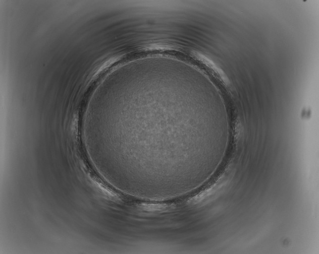 X0000097620825200802291323