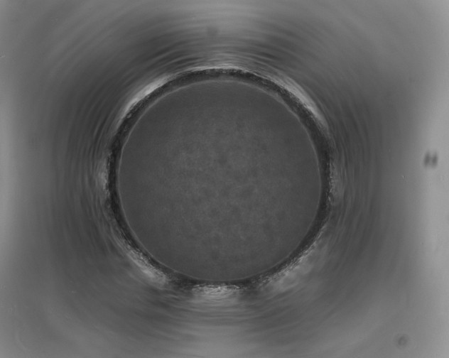 X0000097620826200802291323