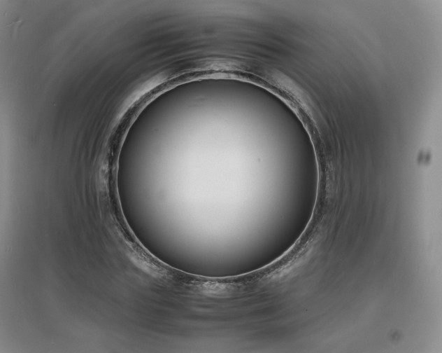 X0000097620827200802291323