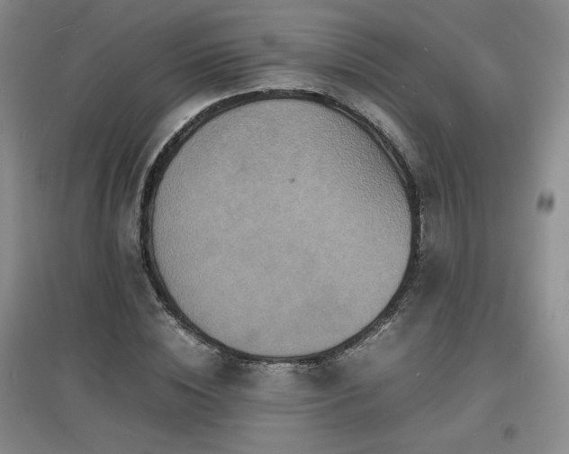 X0000097620828200802291323