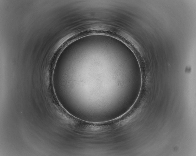 X0000097620829200802291323