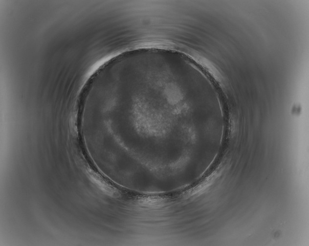 X0000097620830200802291323