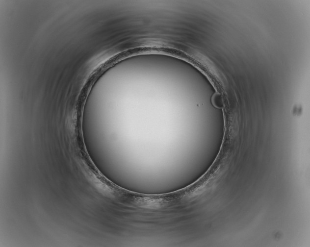 X0000097620831200802291324
