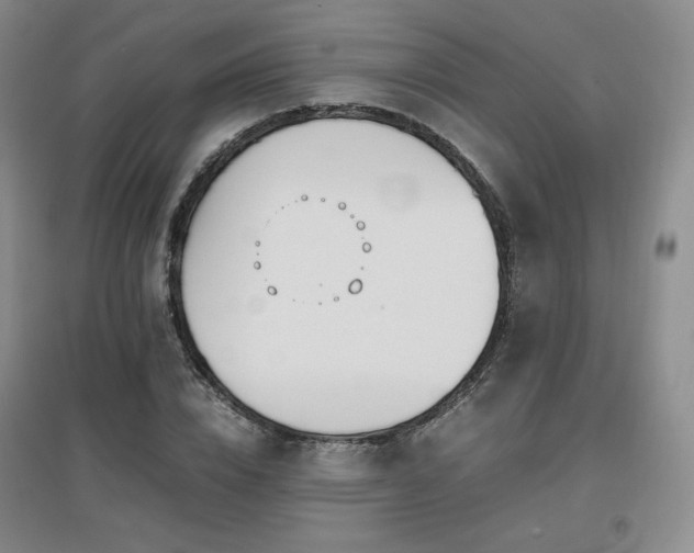 X0000097620832200802291324