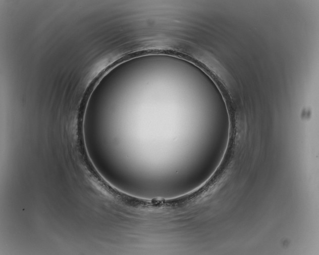 X0000097620834200802291324