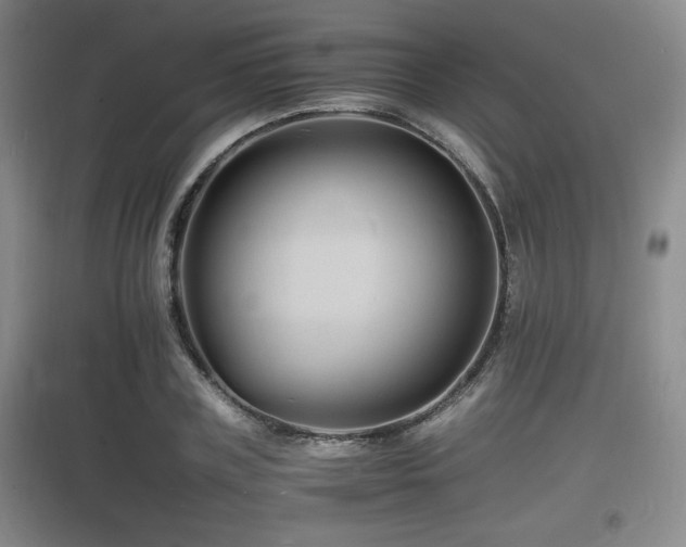 X0000097620835200802291324