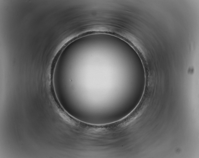 X0000097620837200802291324