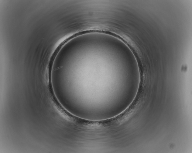 X0000097620838200802291324