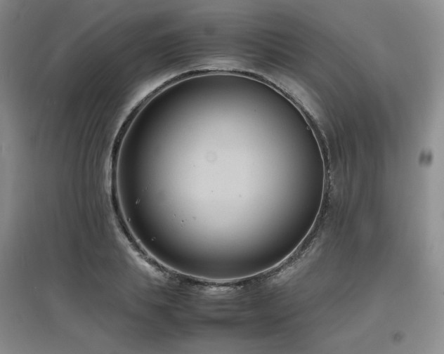 X0000097620839200802291324