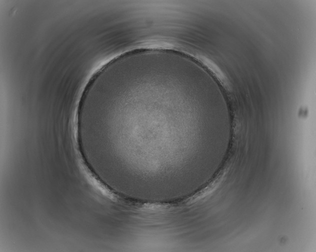 X0000097620840200802291324