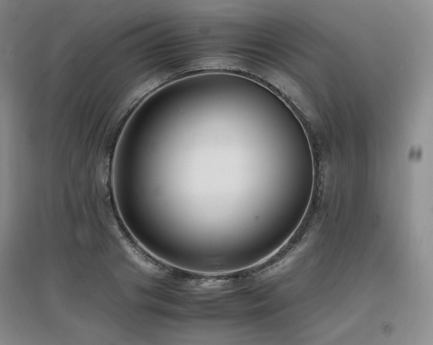X0000097620841200802291324