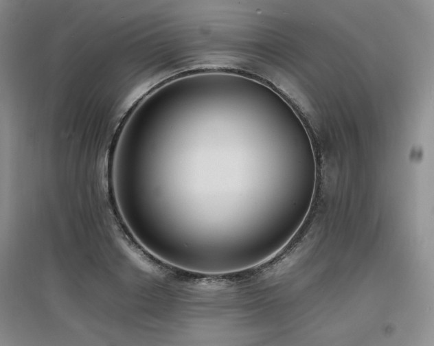 X0000097620842200802291324