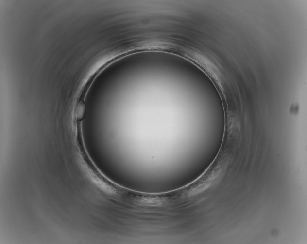 X0000097620843200802291324