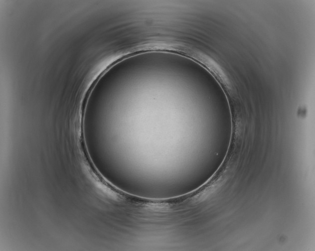 X0000097620844200802291324