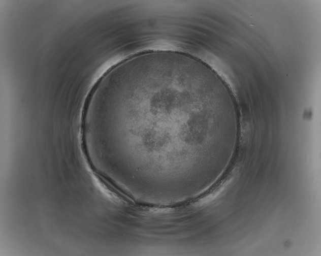 X0000097620845200802291324