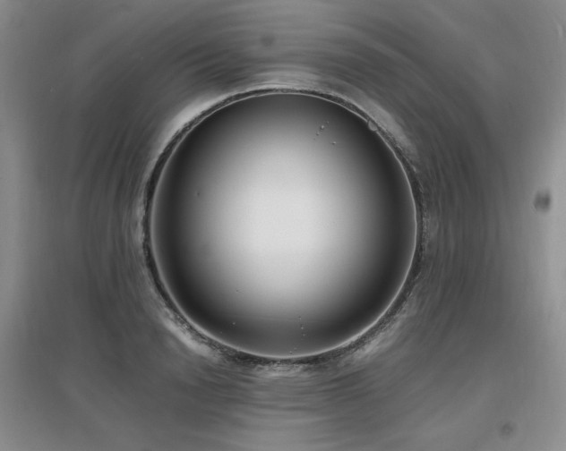 X0000097620846200802291324