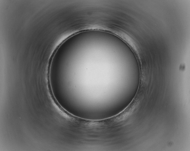 X0000097620847200802291324