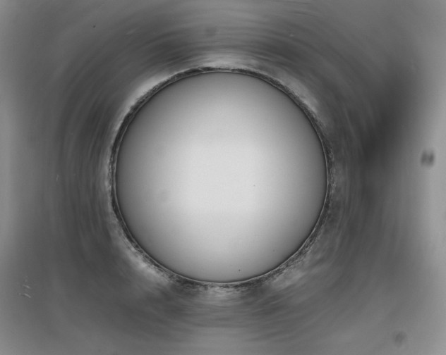 X0000097620848200802291324