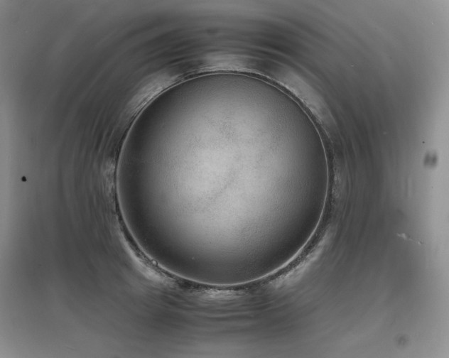 X0000097620849200802291324