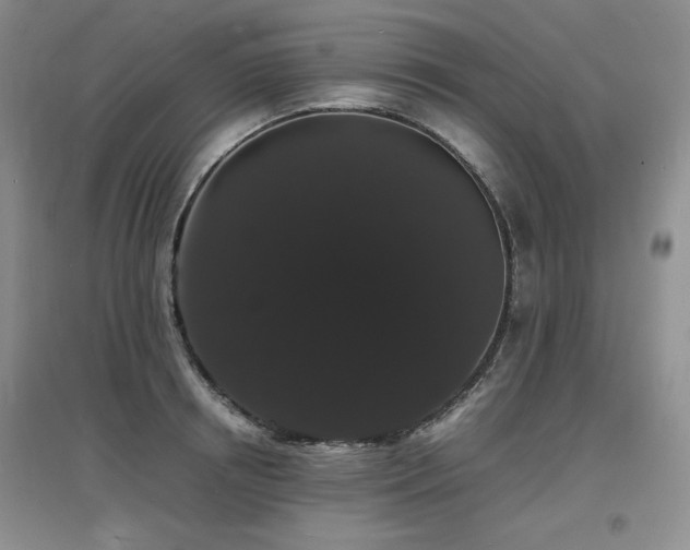 X0000097620850200802291324